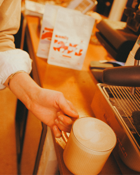 Duo Gourmandise - Chicorée Noisette & Cacao