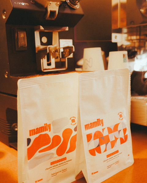Duo Gourmandise - Chicorée Noisette & Cacao