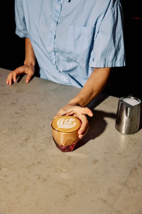 Chicorée Mochaccino